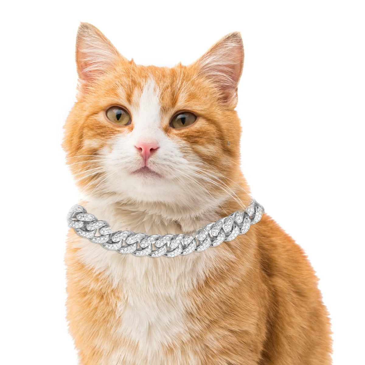 Halukakah Cat Collar - Carat - 18k Real Gold Plated 12", with Bell
