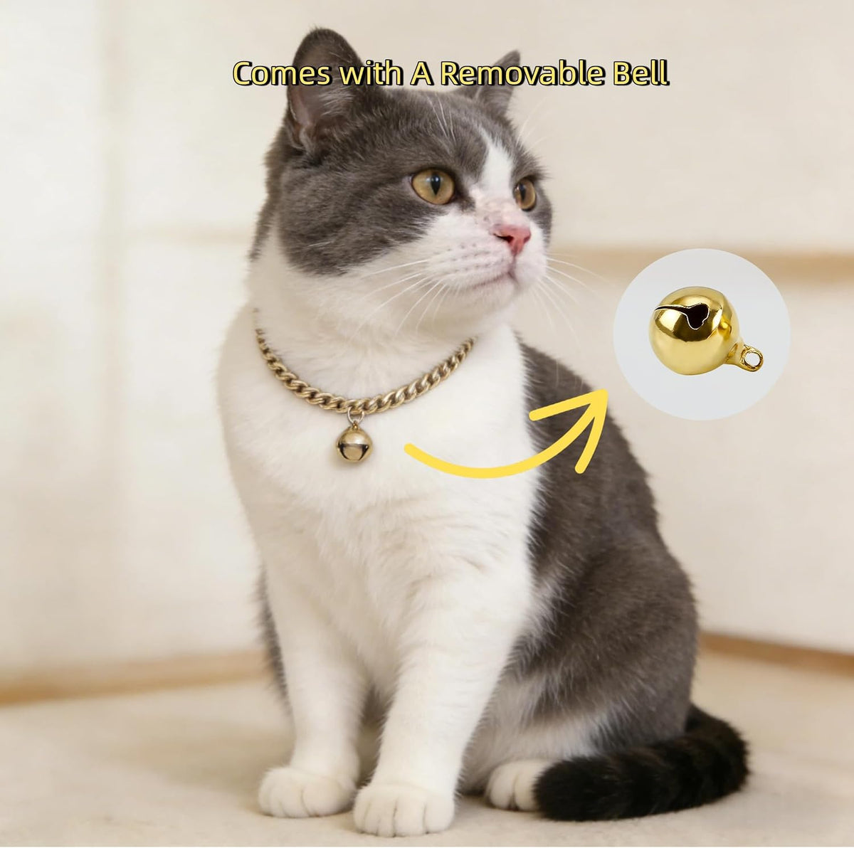 Gold Cat Chain Collar with Bell