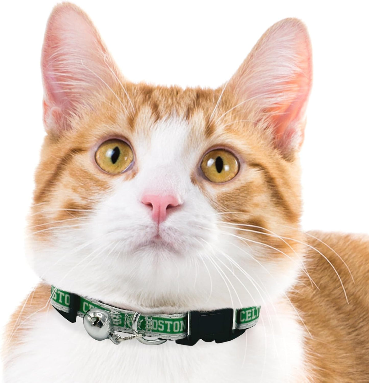 Boston Celtics Satin Cat Collar