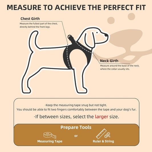 PUPTECK Adjustable Pet Harness Collar &Leash Set Step in for Small Dogs Puppy &Cats Outdoor Training &Running, Soft Mesh Padded Reflective Vest Harness,M: Chest girth: 16-18in Collar: 11.8-15.7in