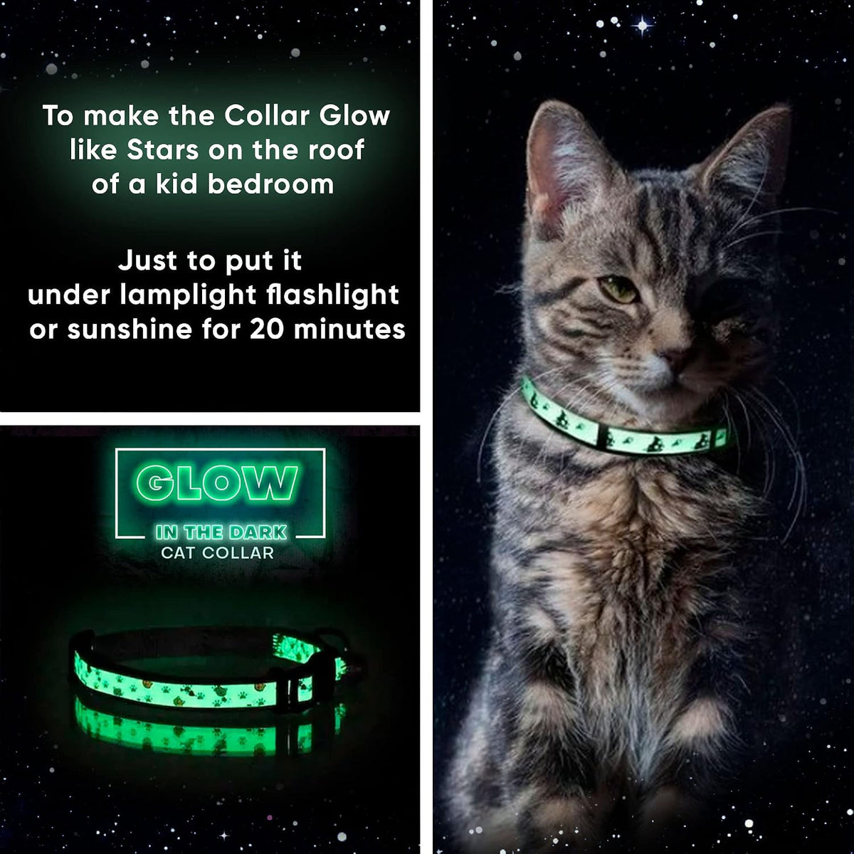 Pawtitas Glow in the Dark Cat Collar with Breakaway Safety Buckle & Bell Adjustable Kitten Collar, Teal
