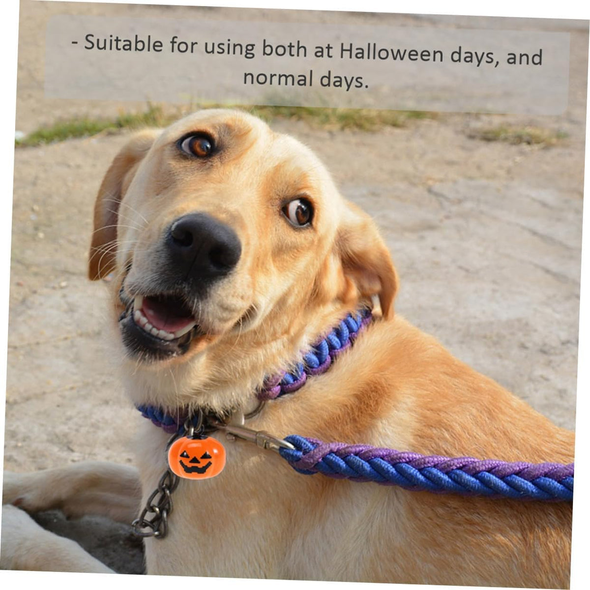 ORFOFE Pumpkin Collar Bells for Pets 5 Pieces Small Copper Halloween Pendant Jingle Charm for Dog Collars Accessories