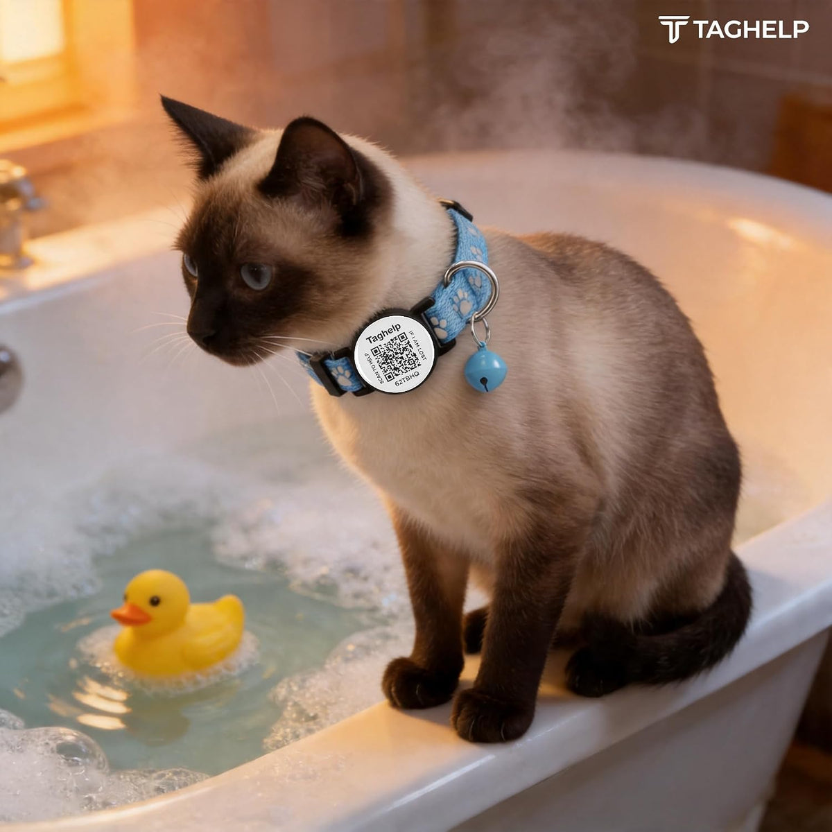 2 Pack QR Code Cat Collar with Instant Lost Pet Recovery System, Scan for Urgent Alerts & Location Info, Breakaway Reflective Collar with Safety Bell (Blue & Pink)