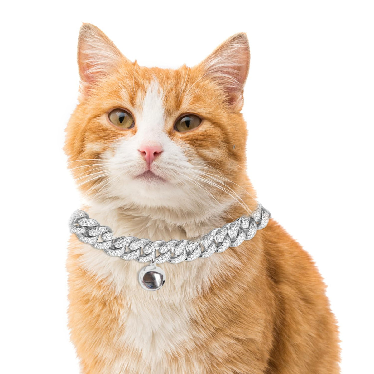Halukakah Cat Collar - Carat - 18k Real Gold Plated 12", with Bell