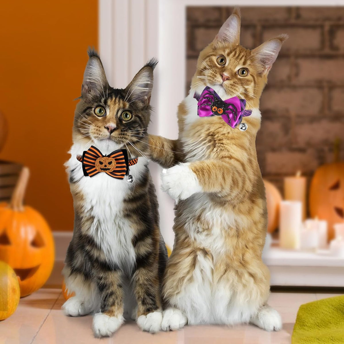 azuza 2 Pack Halloween Cat Collars with Bell, Pumpkin Spider Bowtie Design