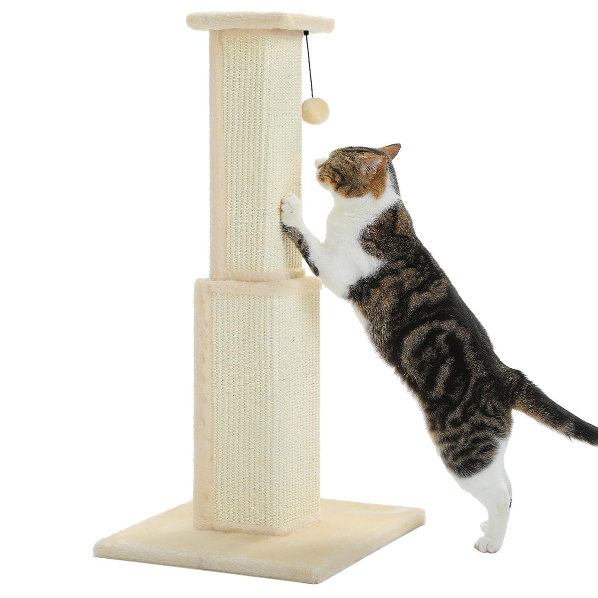 PAWZ Road Large Cat Scratching Post 32" Tall Black Cat Scratcher