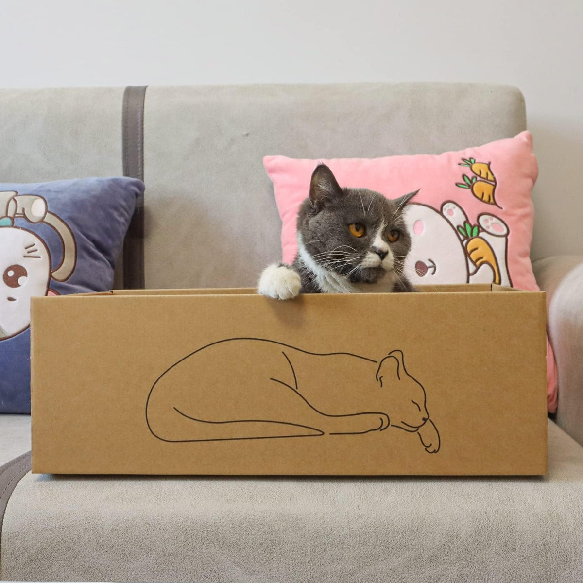 5 Packs in 1 Cat Scratch Pad with Box for Indoor Cats, Larger-Sized Durable Recyclable and Reversible Cardboard Cat Scratching Pad for Rest and Play