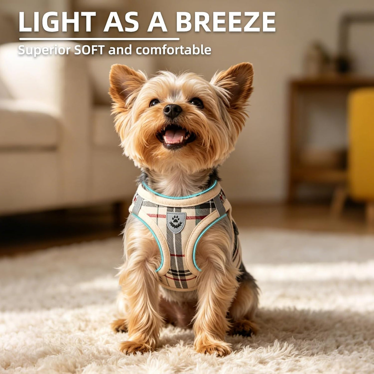 PUPTECK Adjustable Pet Harness Collar &Leash Set Step in for Small Dogs Puppy &Cats Outdoor Training &Running, Soft Mesh Padded Reflective Vest Harness,M: Chest girth: 16-18in Collar: 11.8-15.7in