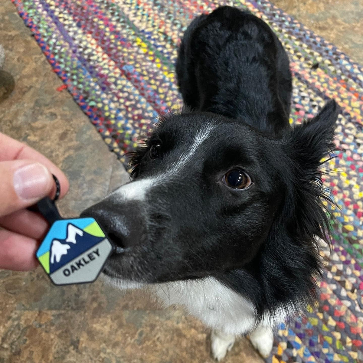 Silent Dog Tag Personalized with 5 Lines of Custom Deep Engraved Durable Soundless Silicone Pet ID Name Tag Hexagon Mountain Orange