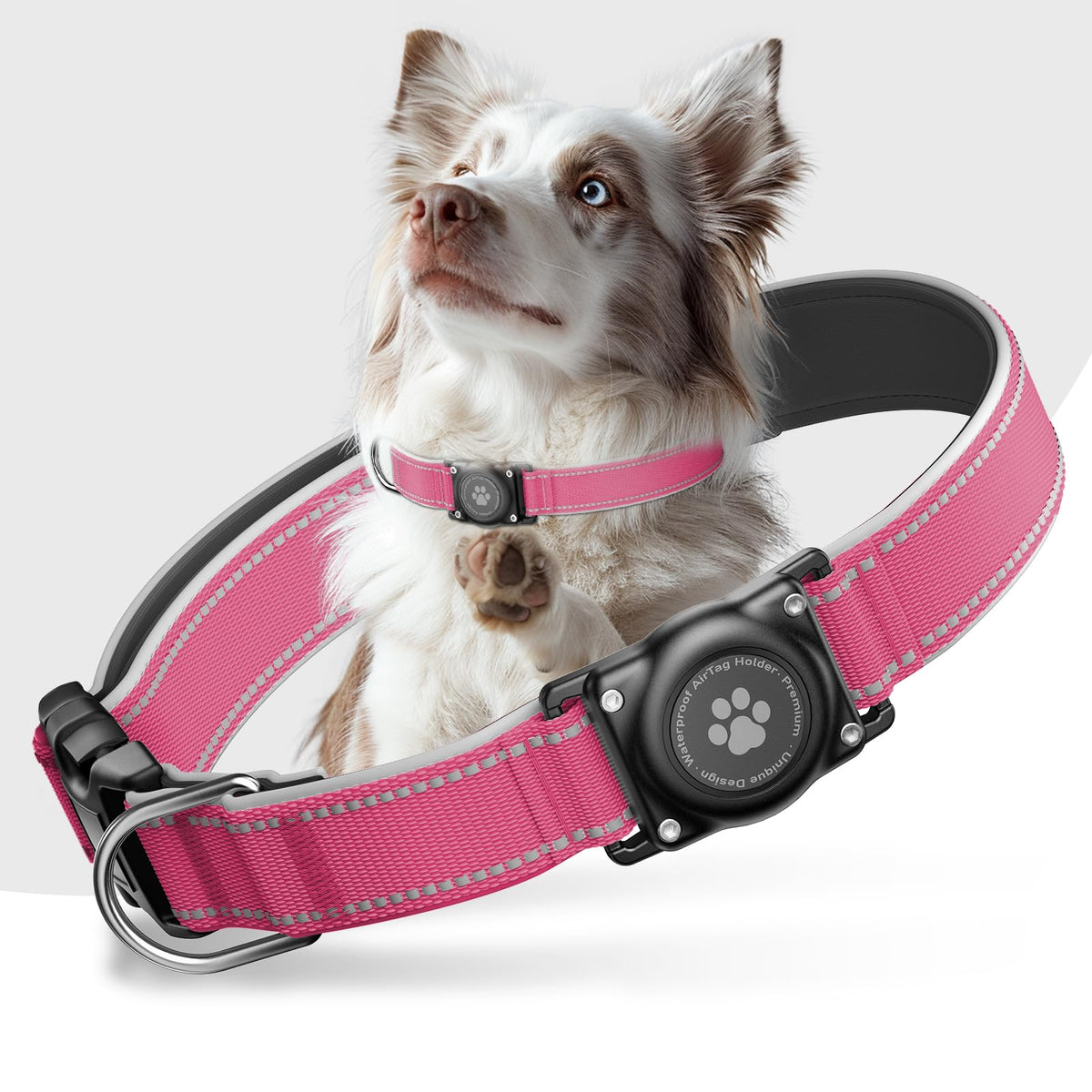 Upgrade Dog Collar with AirTag Holder, IP68 Waterproof, Black, S