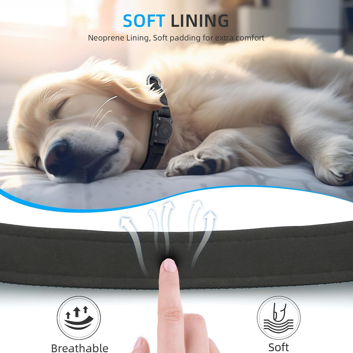 Upgrade Dog Collar with AirTag Holder, IP68 Waterproof, Black, S