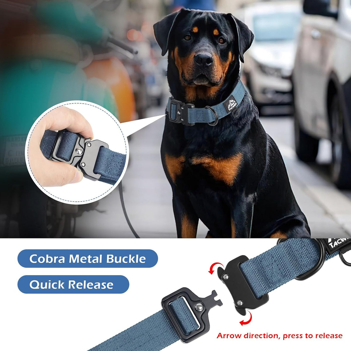 Dog Collar for Large Medium Dogs Heavy Duty Nylon Tactical Training