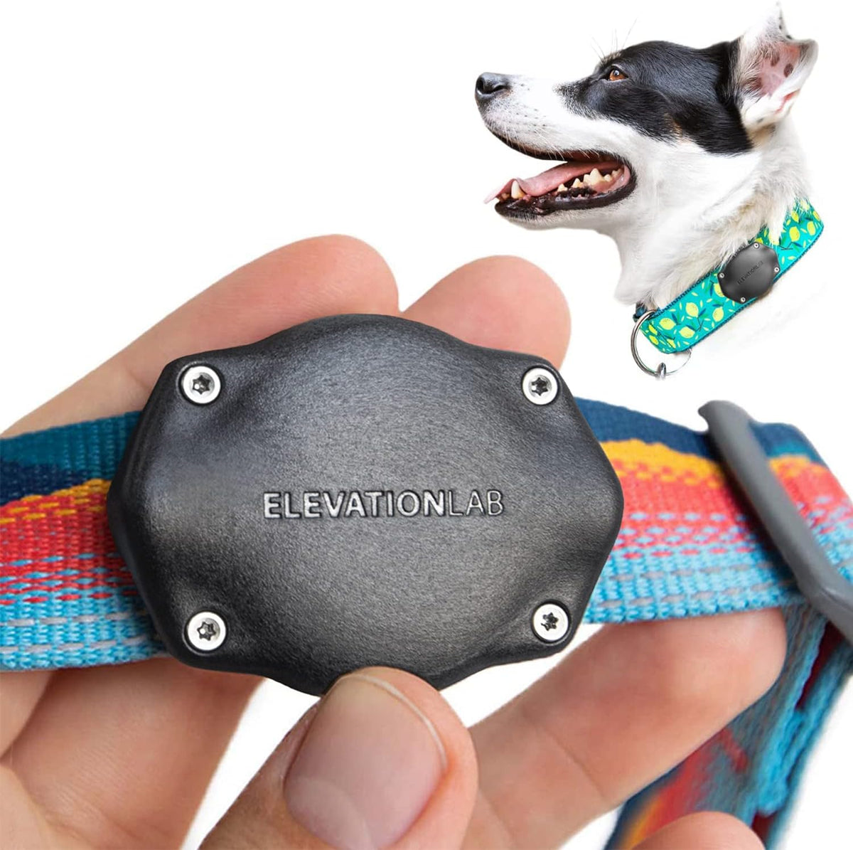 Elevation Lab AirTag Dog Collar Holder - Waterproof