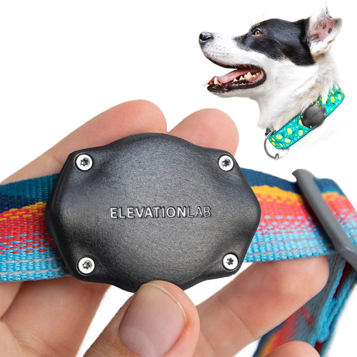Elevation Lab AirTag Dog Collar Holder - Waterproof