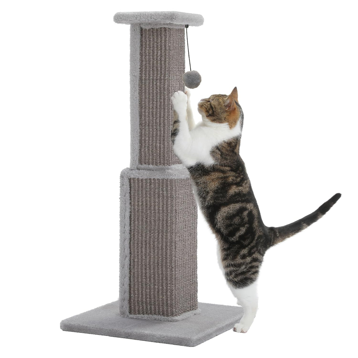 PAWZ Road Large Cat Scratching Post 32" Tall Black Cat Scratcher
