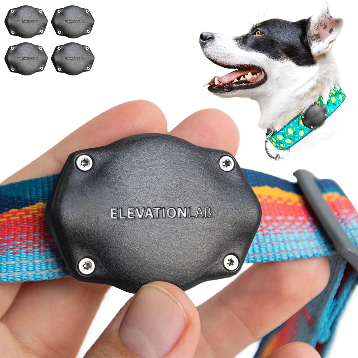 Elevation Lab AirTag Dog Collar Holder - Waterproof