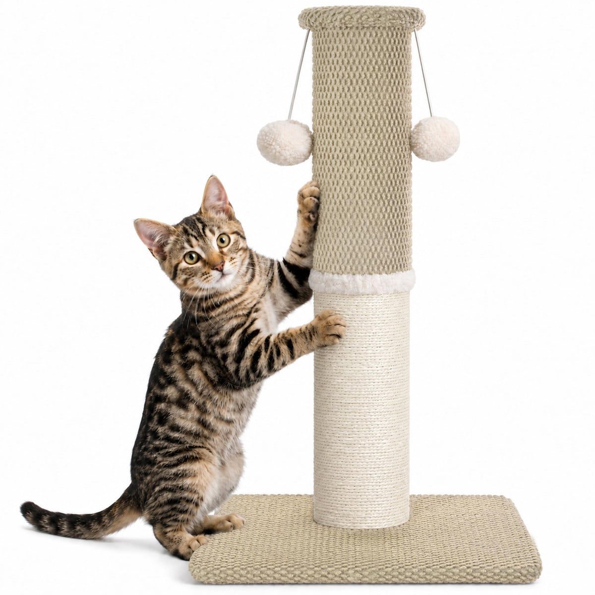 Made4Pets Tall Cat Scratching Post with Sisal & Carpet for Indoor Cats, 33"