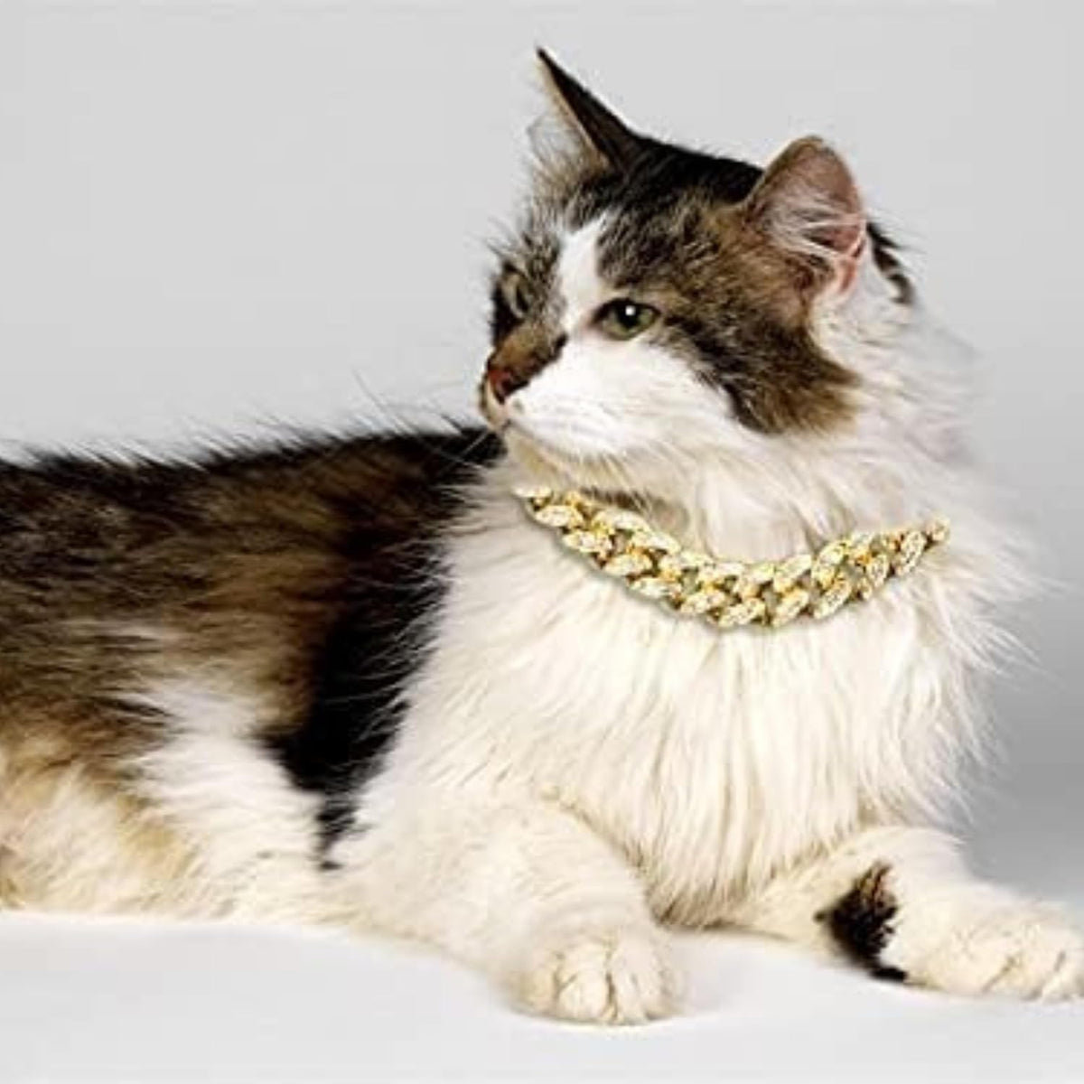 Halukakah Cat Collar - Carat - 18k Real Gold Plated 12", with Bell