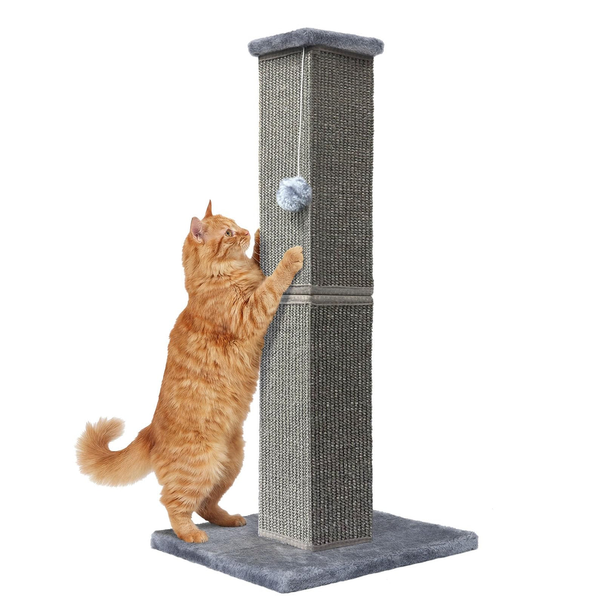 Cat Scratching Post for Indoor Cat, 32 Inch Large Cat Scratcher Grey