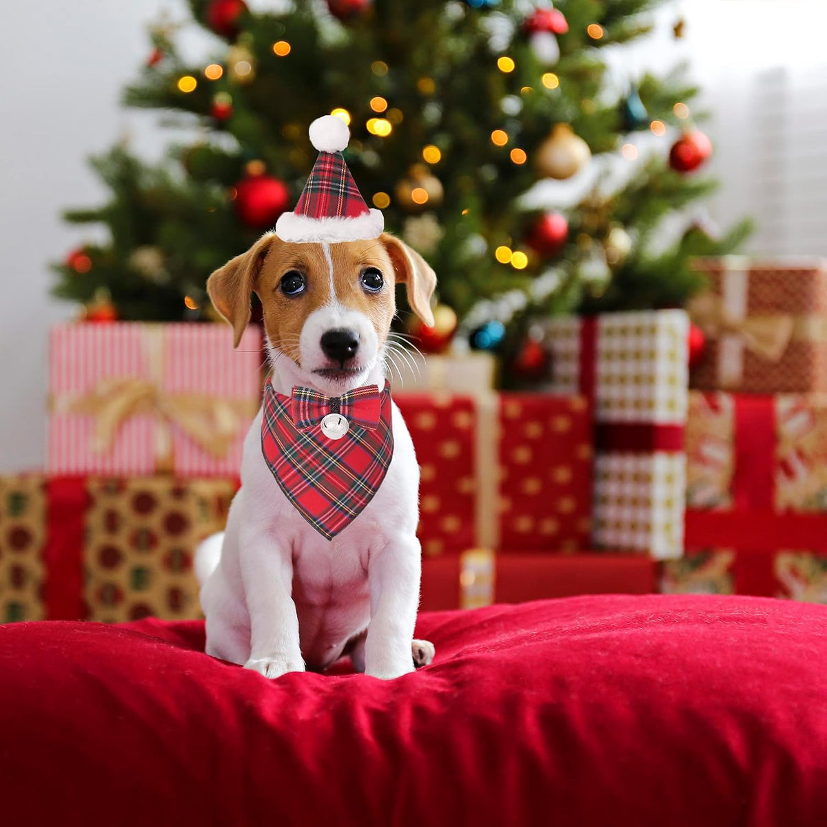 ADOGGYGO Christmas Dog Bandana Hat Bow Tie Set - Stylish Red Plaid Puppy Christmas Hat Scarf Costume Outfit for Small Dogs Pets (Small)