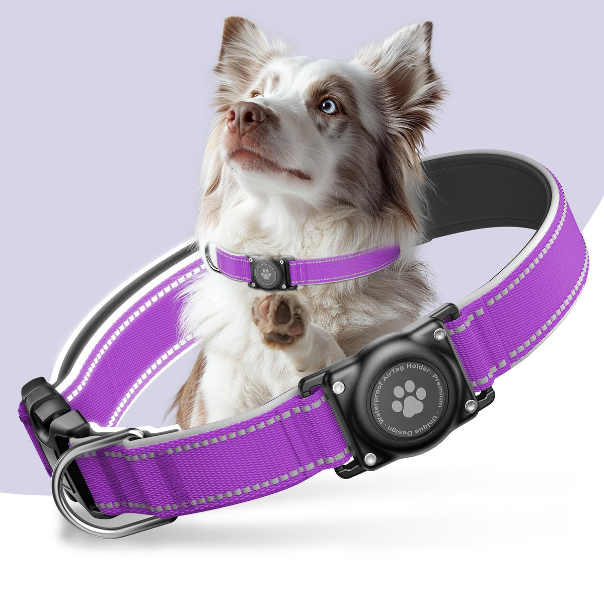 Upgrade Dog Collar with AirTag Holder, IP68 Waterproof, Black, S