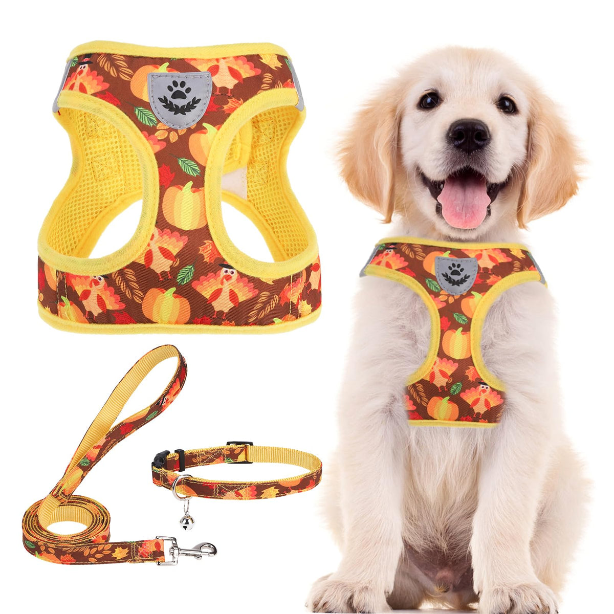 PUPTECK Adjustable Pet Harness Collar &Leash Set Step in for Small Dogs Puppy &Cats Outdoor Training &Running, Soft Mesh Padded Reflective Vest Harness,M: Chest girth: 16-18in Collar: 11.8-15.7in