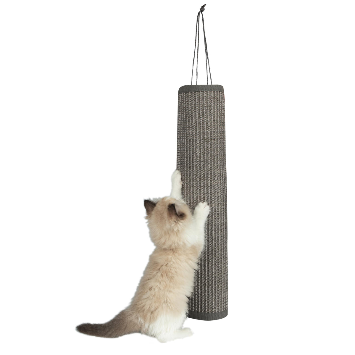 Best Pet Supplies Catify Cat Scratching Ramp - Gray