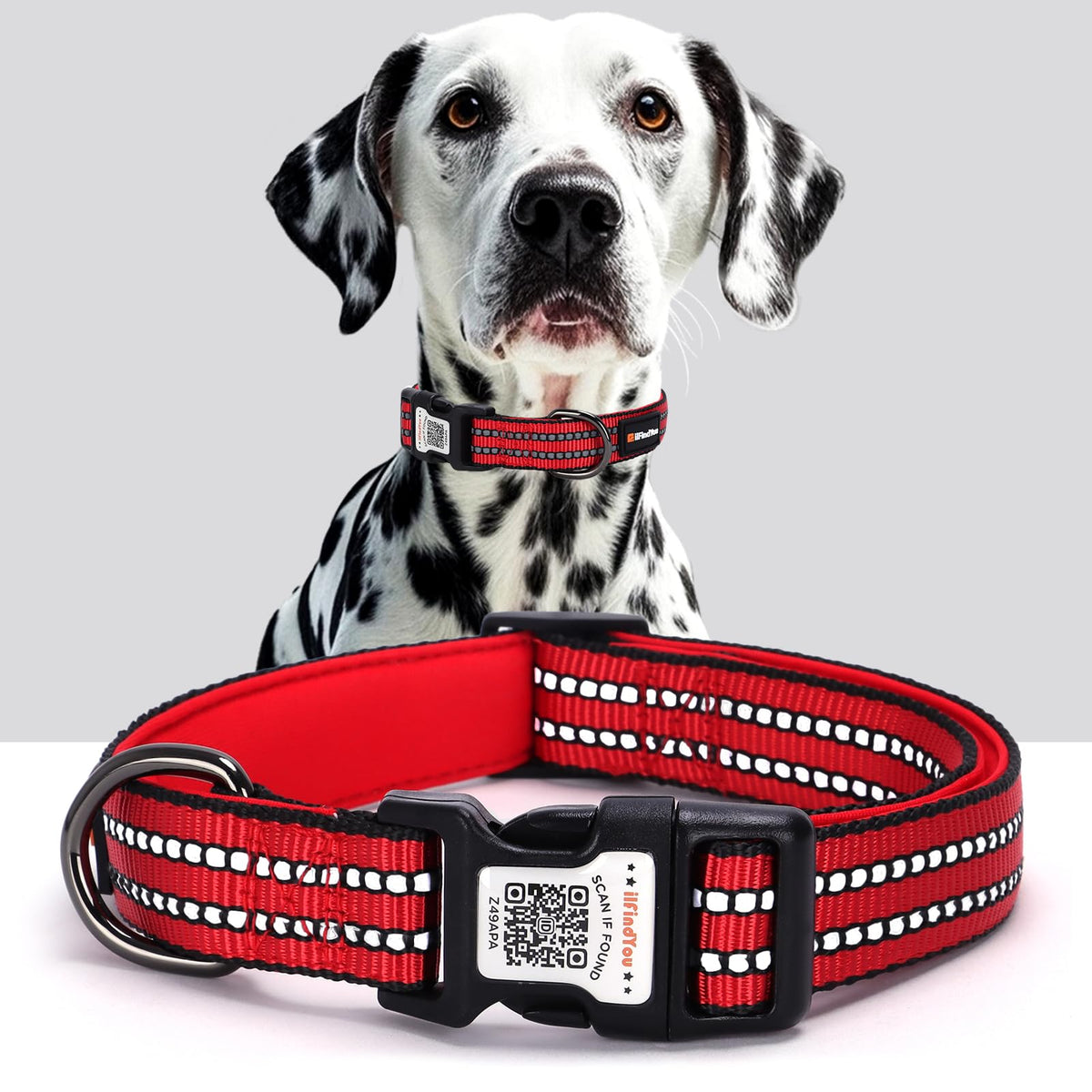 Personalized Dog Collar with QR Code Dog Tag, Light Blue M