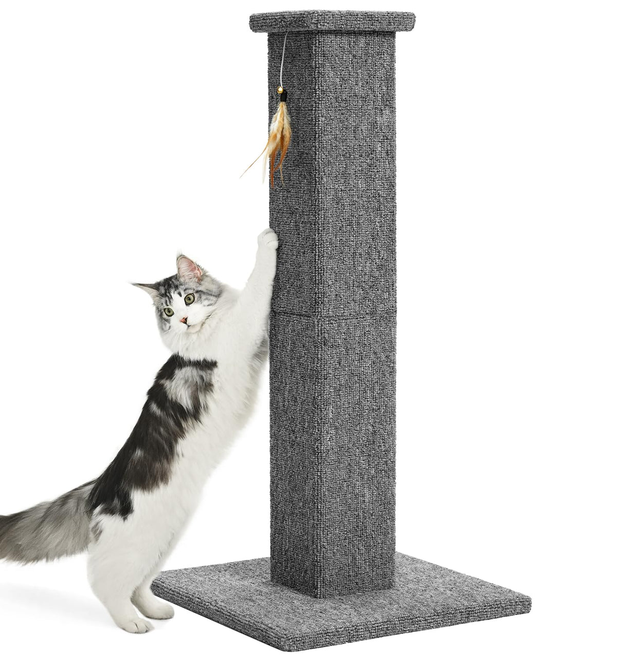 Made4Pets Cat Scratching Post for Indoor Cats, Carpet Cat Scratcher, 32"
