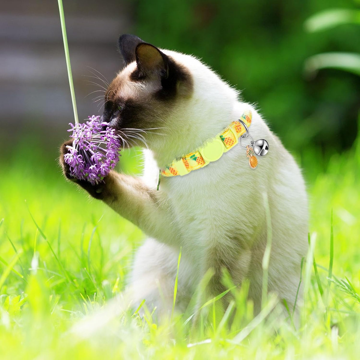 Frienda 12 Pcs Spring Summer Breakaway Cats Collars Girl Cat Safety Adjustable Collars with Bell and Summer Fruit Patterns Pendants Set for Pets Decoration(Small)