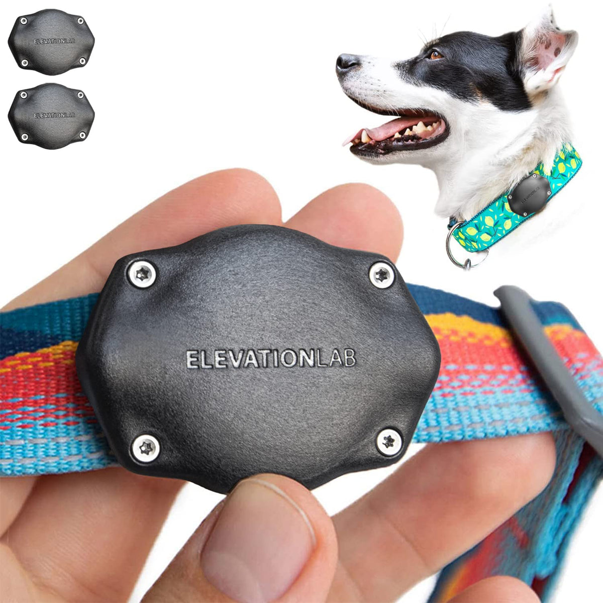 Elevation Lab AirTag Dog Collar Holder - Waterproof