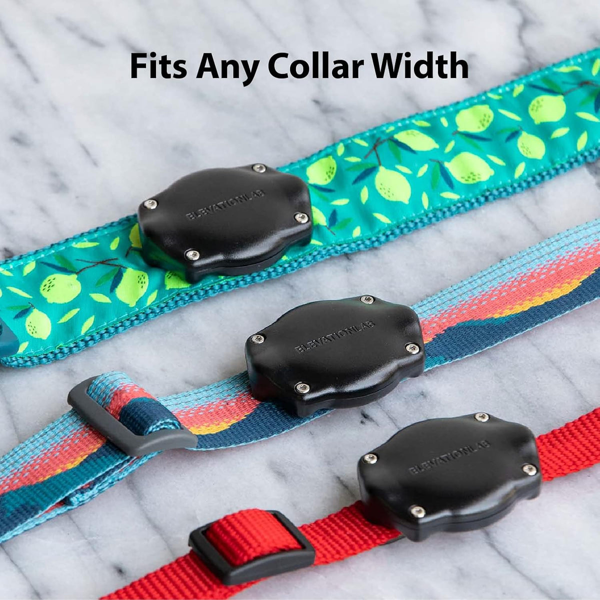 Elevation Lab AirTag Dog Collar Holder - Waterproof