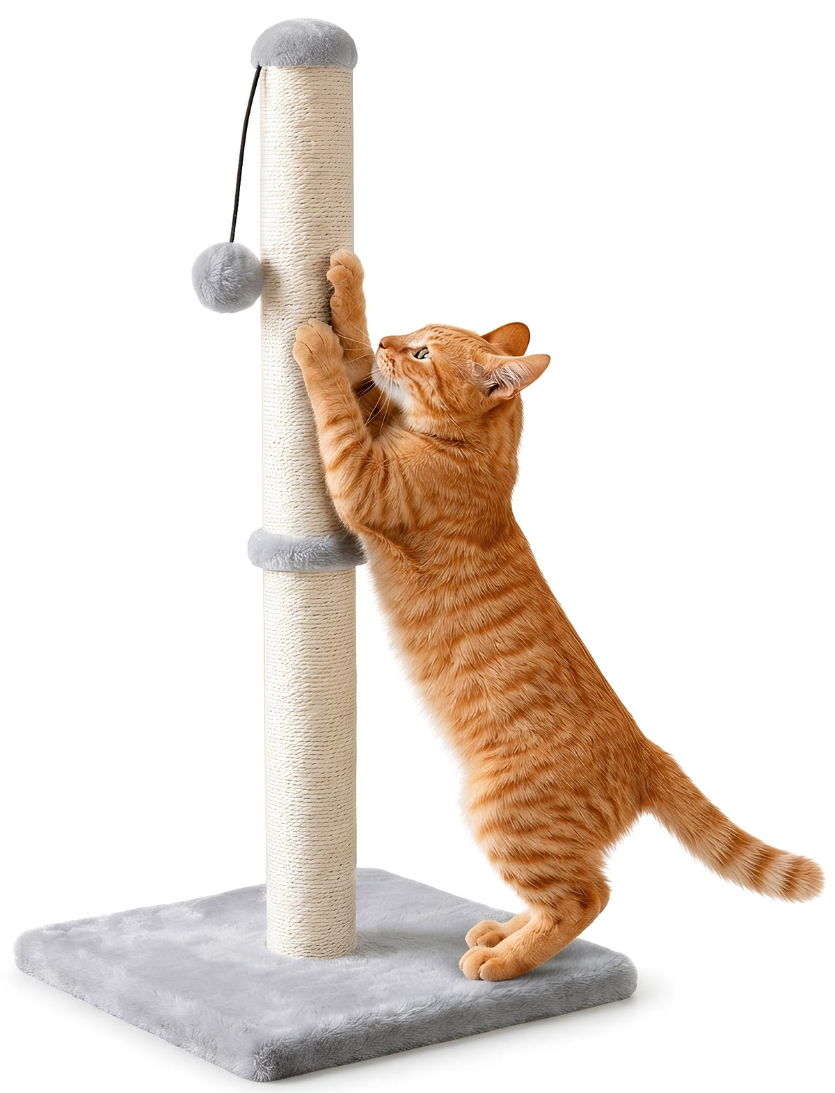 Dimaka Tall Cat Scratching Post Tree Scratcher with Sisal Rope, Grey