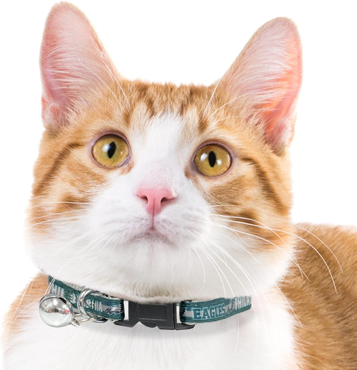 Pets First NFL Cat Collar