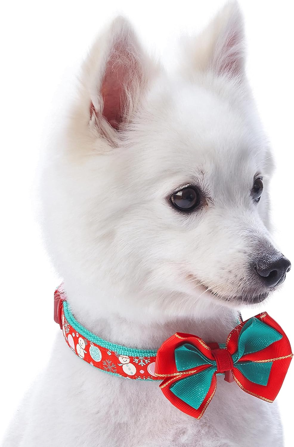 Blueberry Pet “Moments of Excitement” Christmas Snowman Adjustable Bowtie Dog Collar, X-Small, Fits 8"-11" Neck