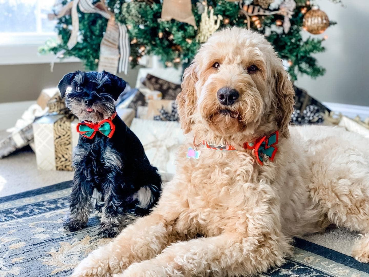Blueberry Pet “Moments of Excitement” Christmas Snowman Adjustable Bowtie Dog Collar, X-Small, Fits 8"-11" Neck