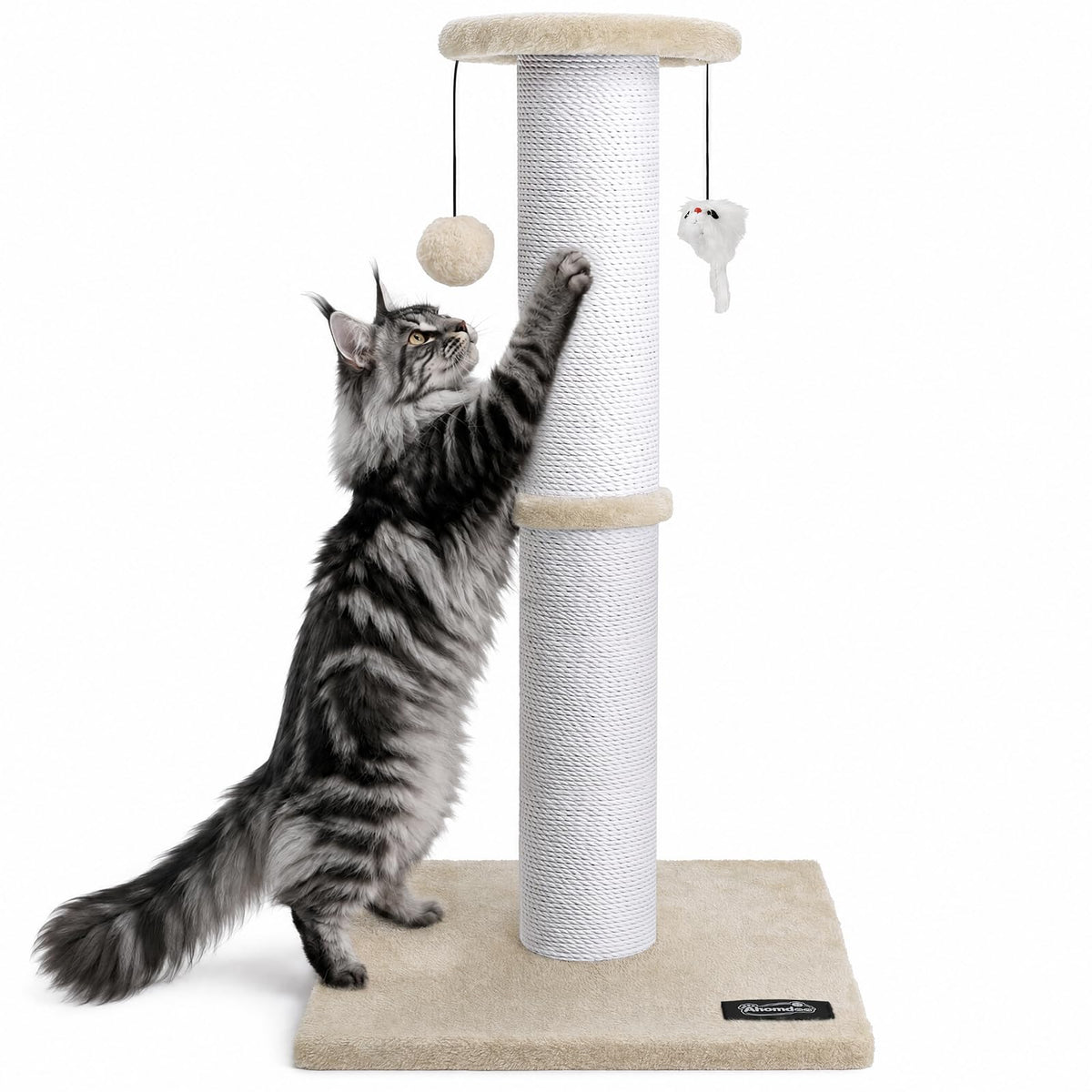 34-Inch Tall Cat Scratching Post for Large Cats, Stable Base, Gray