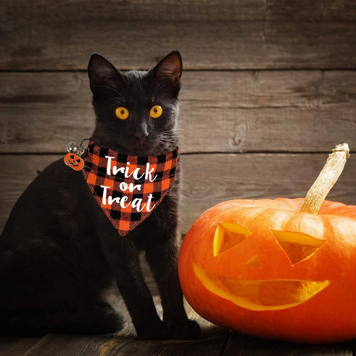 STMK 3 Pack Holiday Cat Bandana Collars with Bell, Breakaway Halloween Thanksgiving Christmas Cat Kitten Collars with Bell Remove Bandana Pumpkin Maple Leaf Santa for Holiday Cats Kittens Costumes