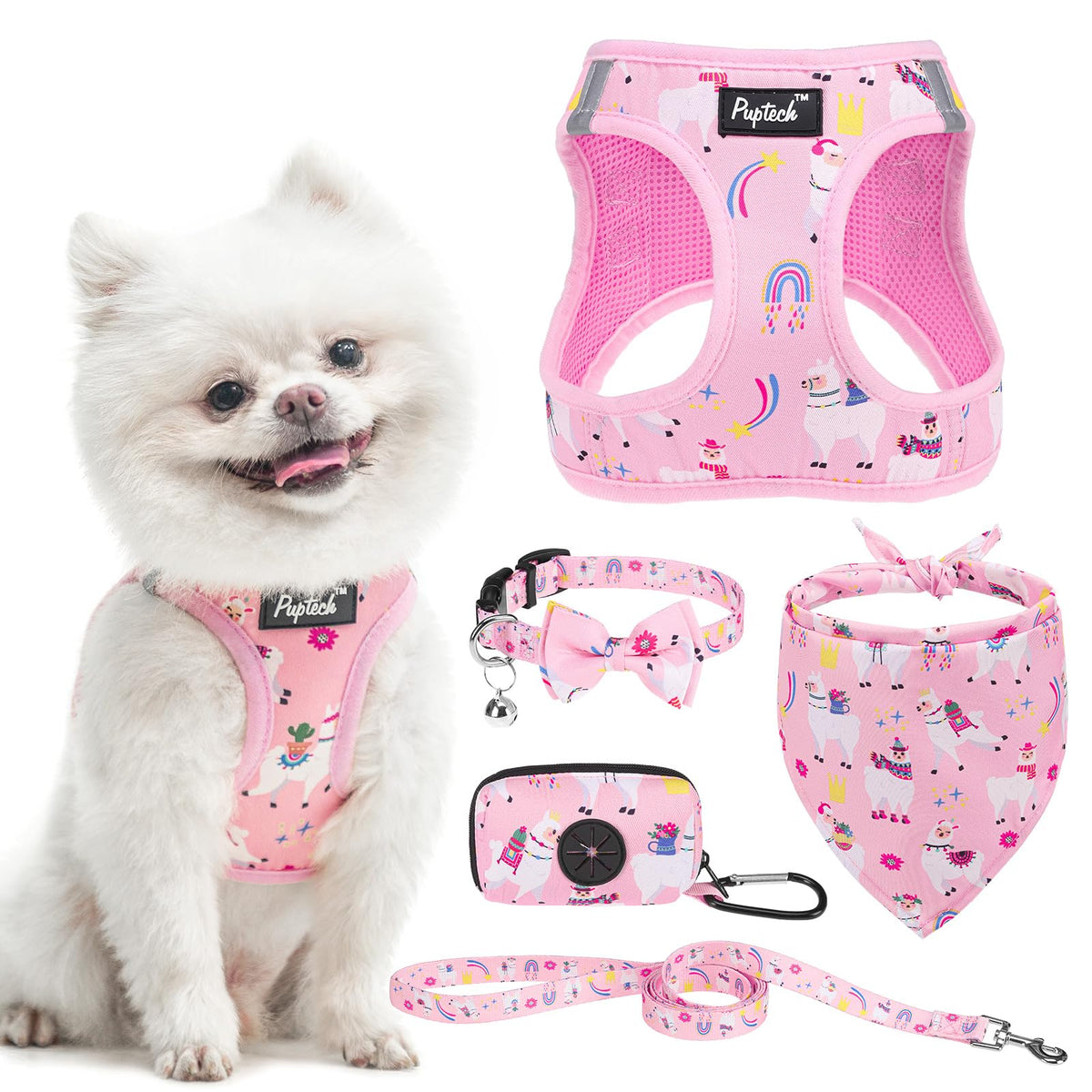 PUPTECK Adjustable Pet Harness Collar &Leash Set Step in for Small Dogs Puppy &Cats Outdoor Training &Running, Soft Mesh Padded Reflective Vest Harness,M: Chest girth: 16-18in Collar: 11.8-15.7in