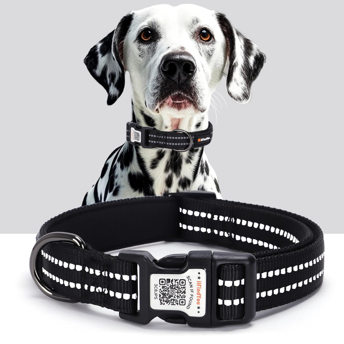 Personalized Dog Collar with QR Code Dog Tag, Light Blue M