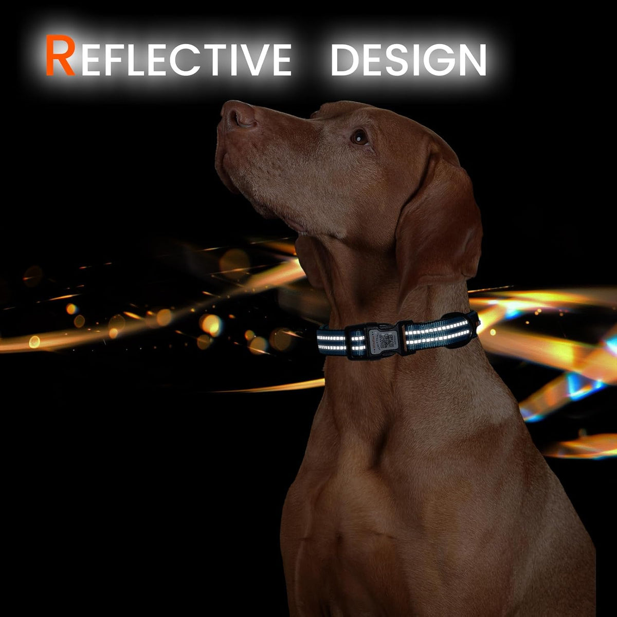 Personalized Dog Collar with QR Code Dog Tag, Light Blue M
