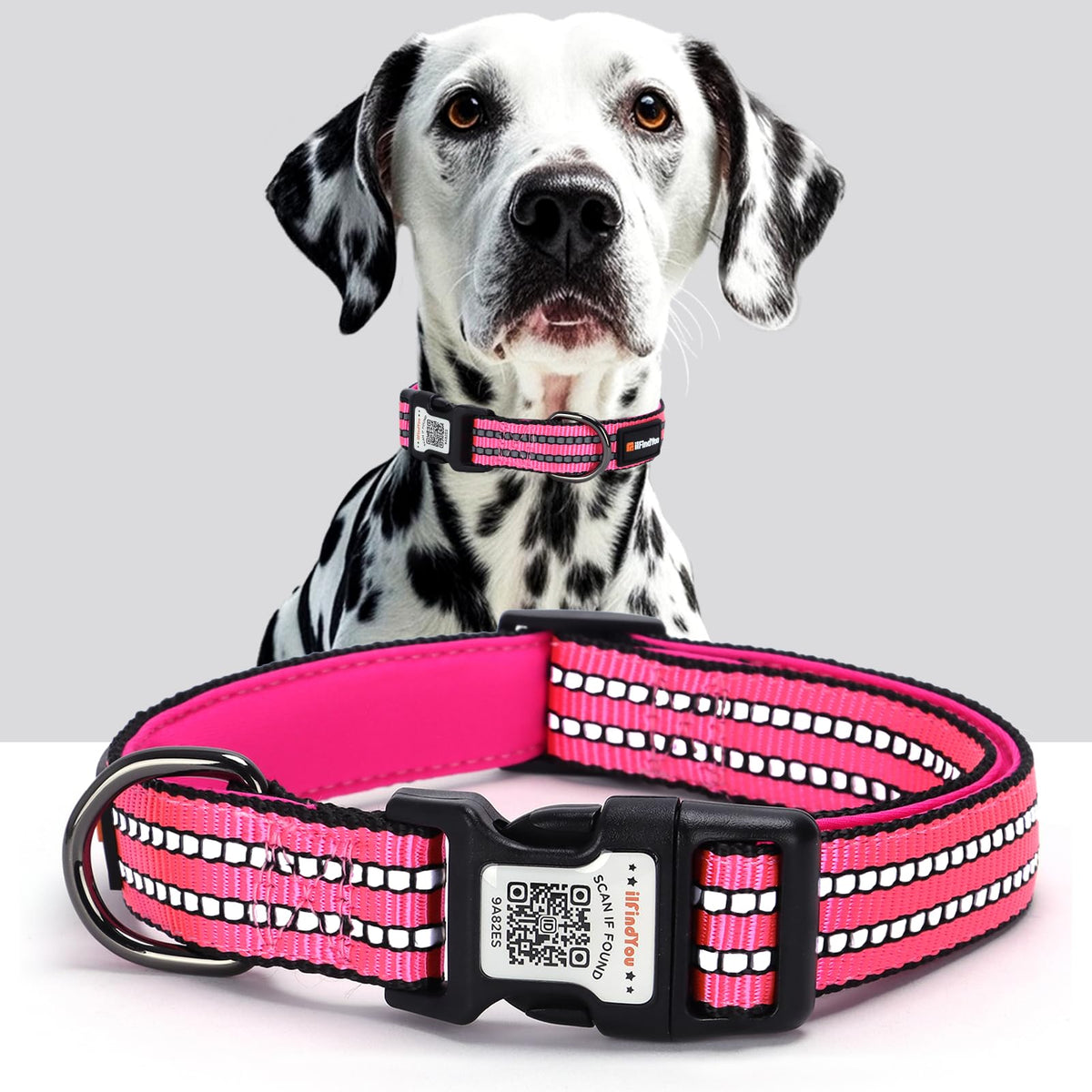 Personalized Dog Collar with QR Code Dog Tag, Light Blue M