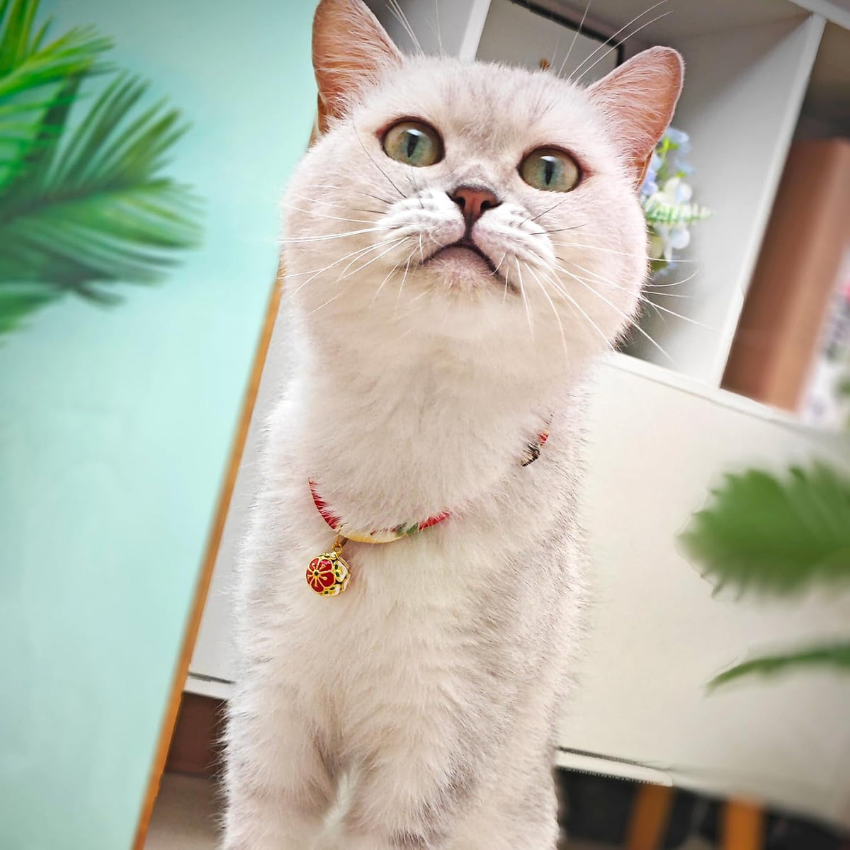 Breakaway Cat Collar. Japanese Plum Blossom Bell & Chic Kimono Design, Soft Adjustable Kitten Collar for Boys & Girls