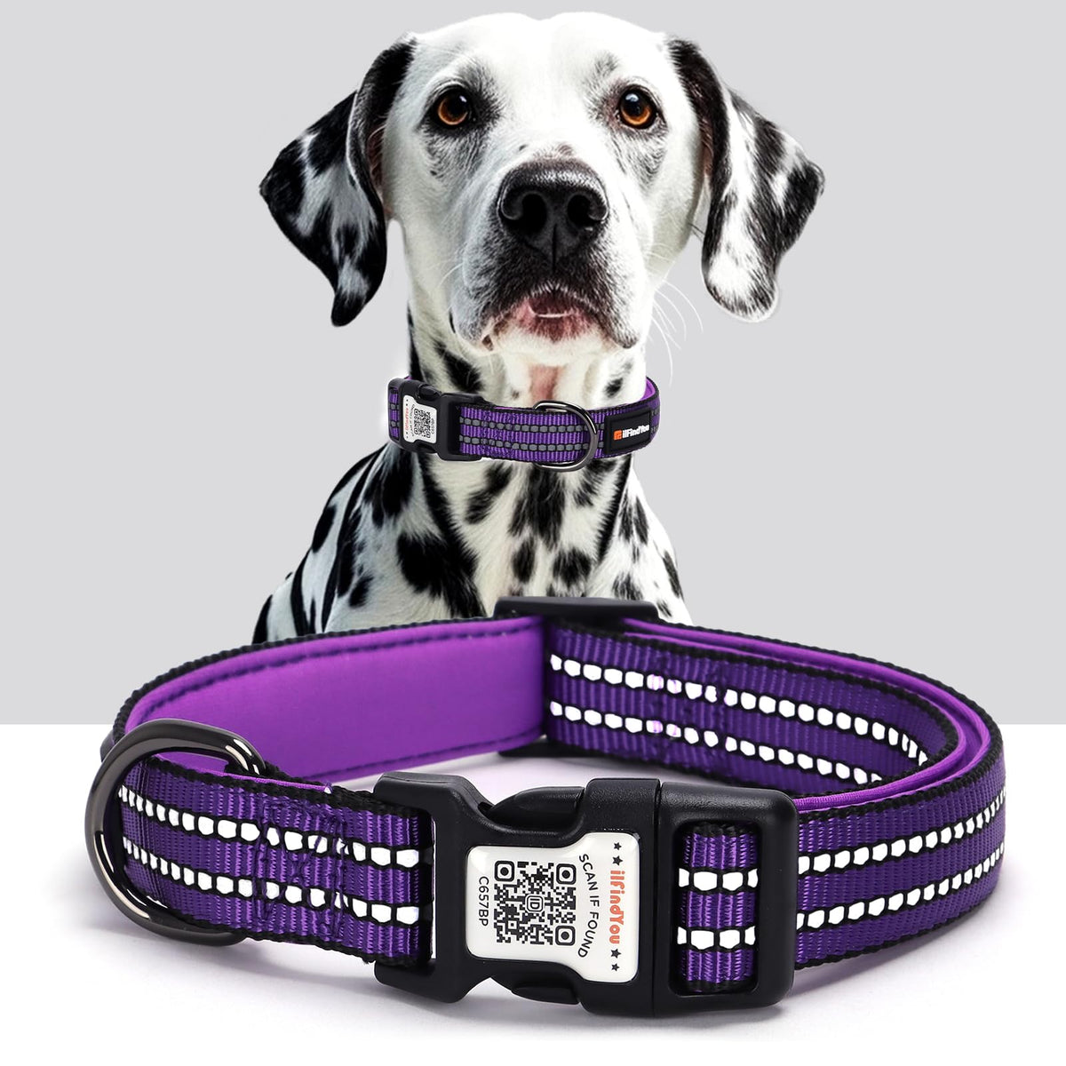 Personalized Dog Collar with QR Code Dog Tag, Light Blue M