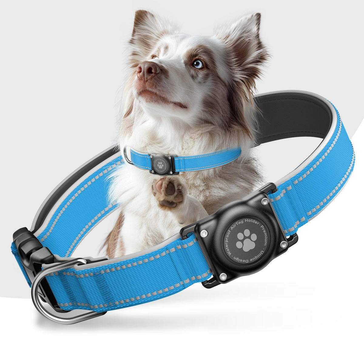 Upgrade Dog Collar with AirTag Holder, IP68 Waterproof, Black, S
