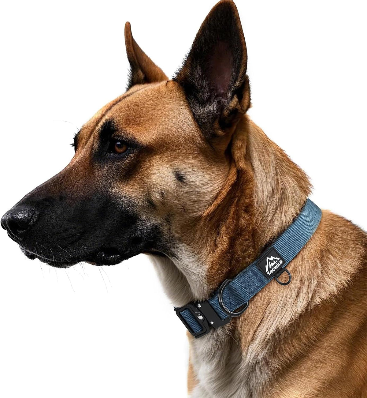 Dog Collar for Large Medium Dogs Heavy Duty Nylon Tactical Training