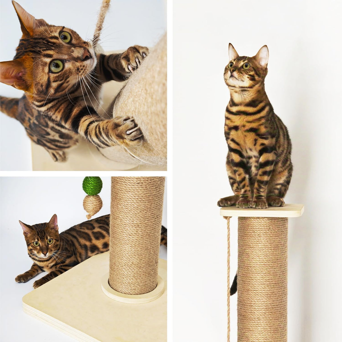 35" Tall Cat Scratching Post for Adult Cats, 4.7'' Diameter