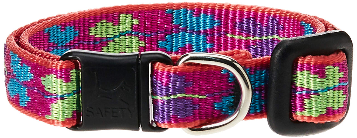 LupinePet Originals 1/2" Jelly Roll Cat Safety Collar, 8-12"