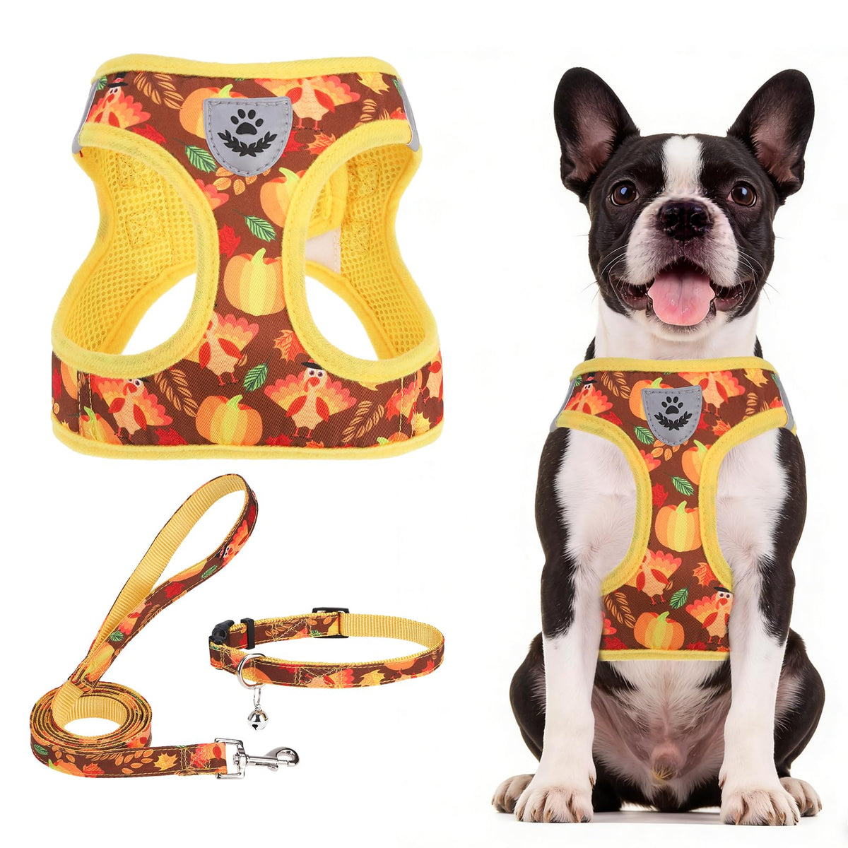 PUPTECK Adjustable Pet Harness Collar &Leash Set Step in for Small Dogs Puppy &Cats Outdoor Training &Running, Soft Mesh Padded Reflective Vest Harness,M: Chest girth: 16-18in Collar: 11.8-15.7in