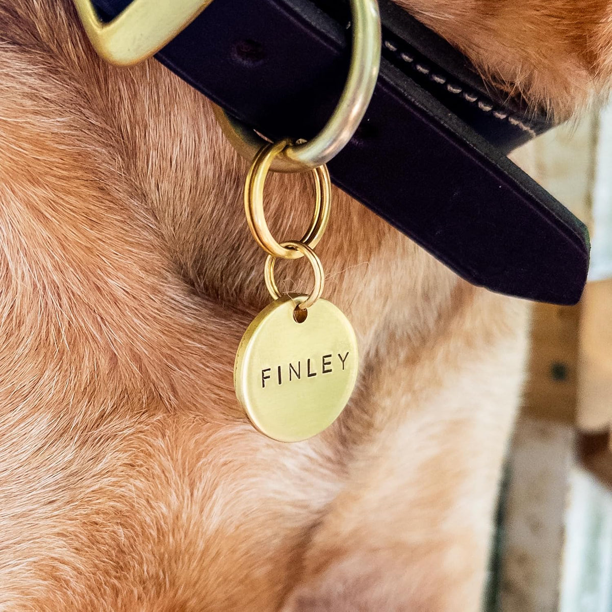 Personalized Brass Dog Tag, Engraved, Round Shape, Phone Number on Back